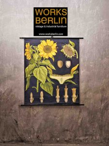 Schulposter mit Blumen