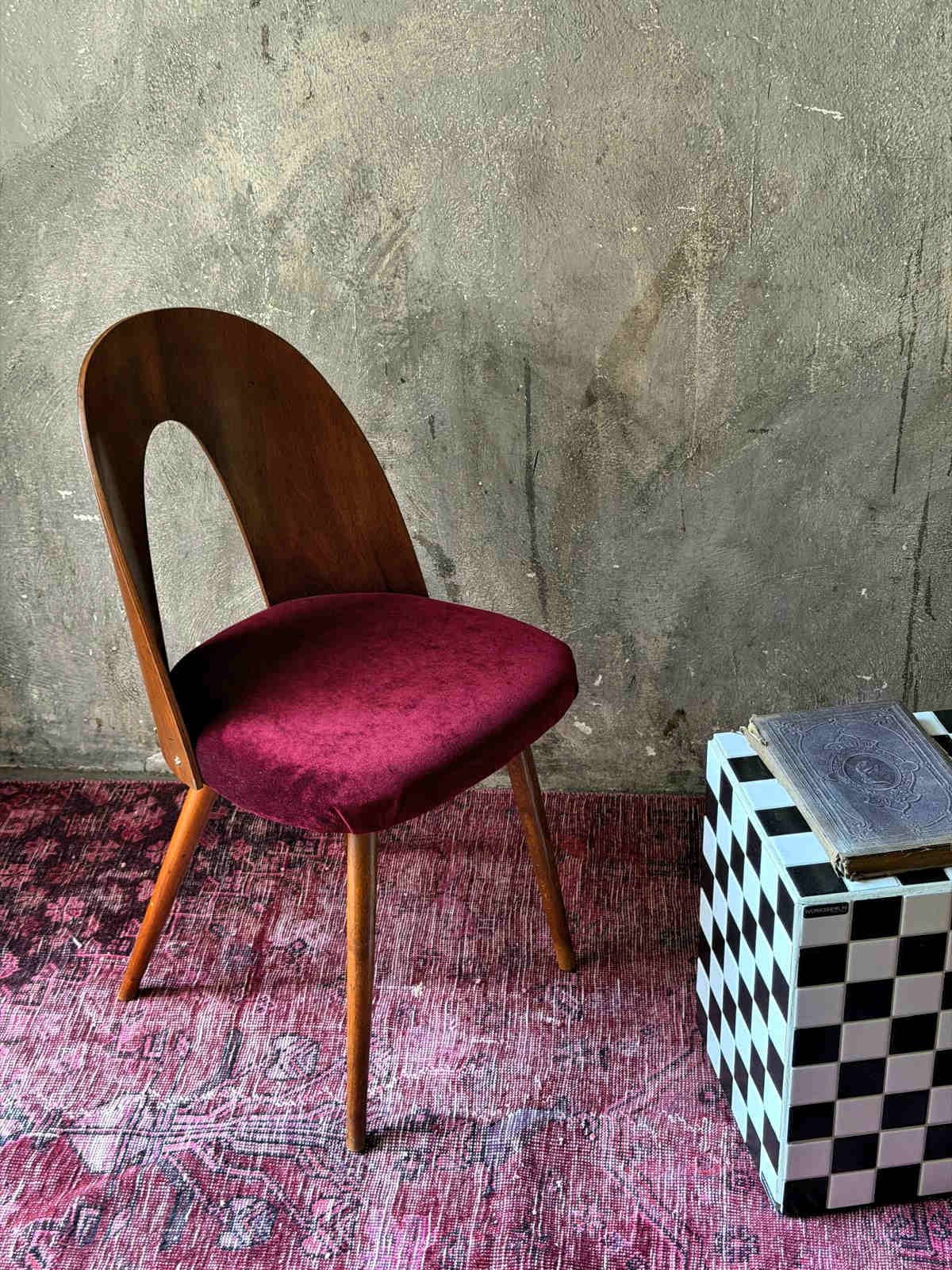 mid century esszimmerstuhl nussbaum Antonin Suman mid century esszimmerstuhl nussbaum Antonin Suman